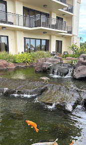Koi swimming below a waterfall in the resort gardens