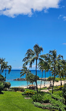 Lagoon 2 shoreline framed by palms and resort gardens