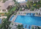 Overhead view of a Beach Villas swimming pool and loungers